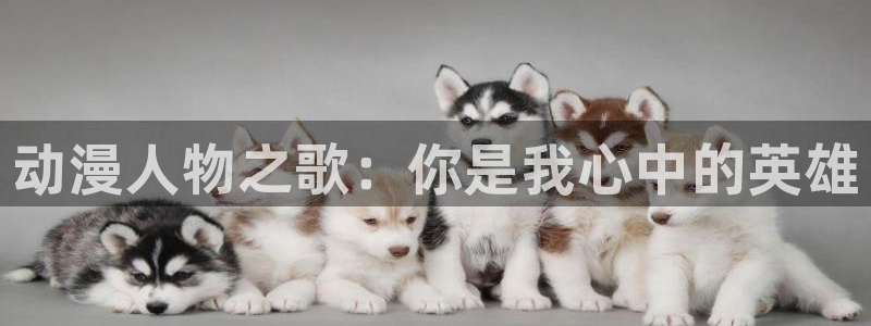 樱花动漫动漫：动漫人物之歌：你是我心中的英雄