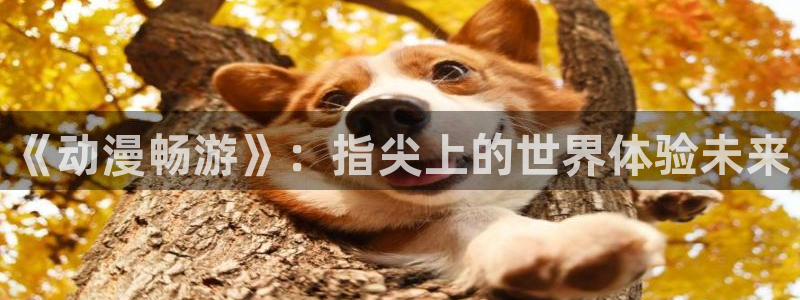 魔法战争动漫在线观看樱花动漫：《动漫畅游》：指尖上的世界体验未来
